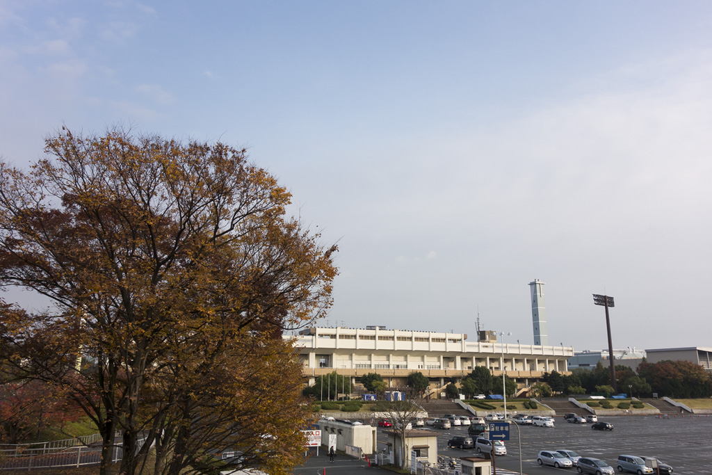 DSC00344ss.jpg